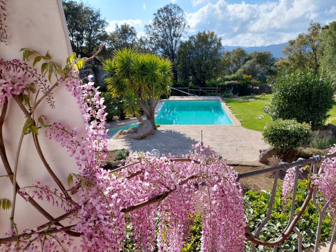 Sardinia Family - Gaia With Private Pool In The Countryside * Sant'Antonio di Gallura